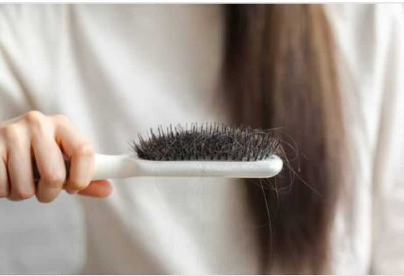 髮農 Hair Farm｜DR.GAGA 頭皮診間科學